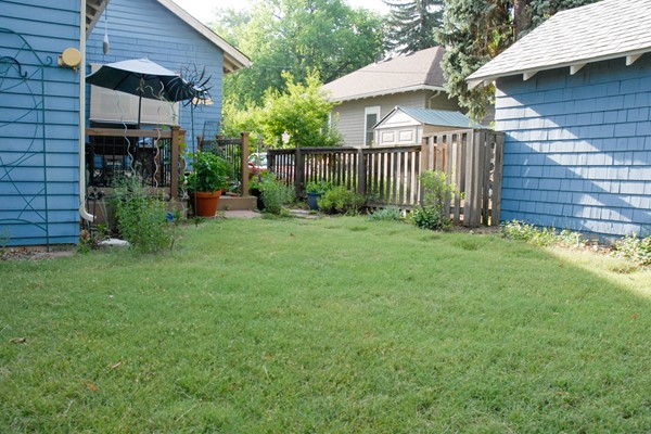 Buffalograss Backyard
